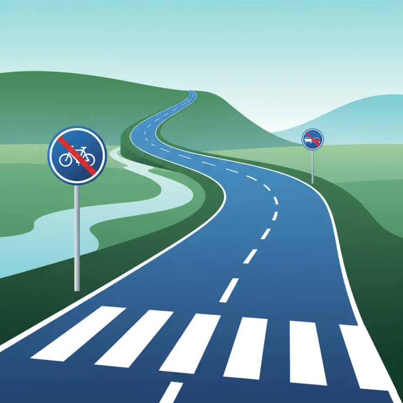 Overtaking Restrictions: Signs and Road Markings for Your Dutch Theory Exam
